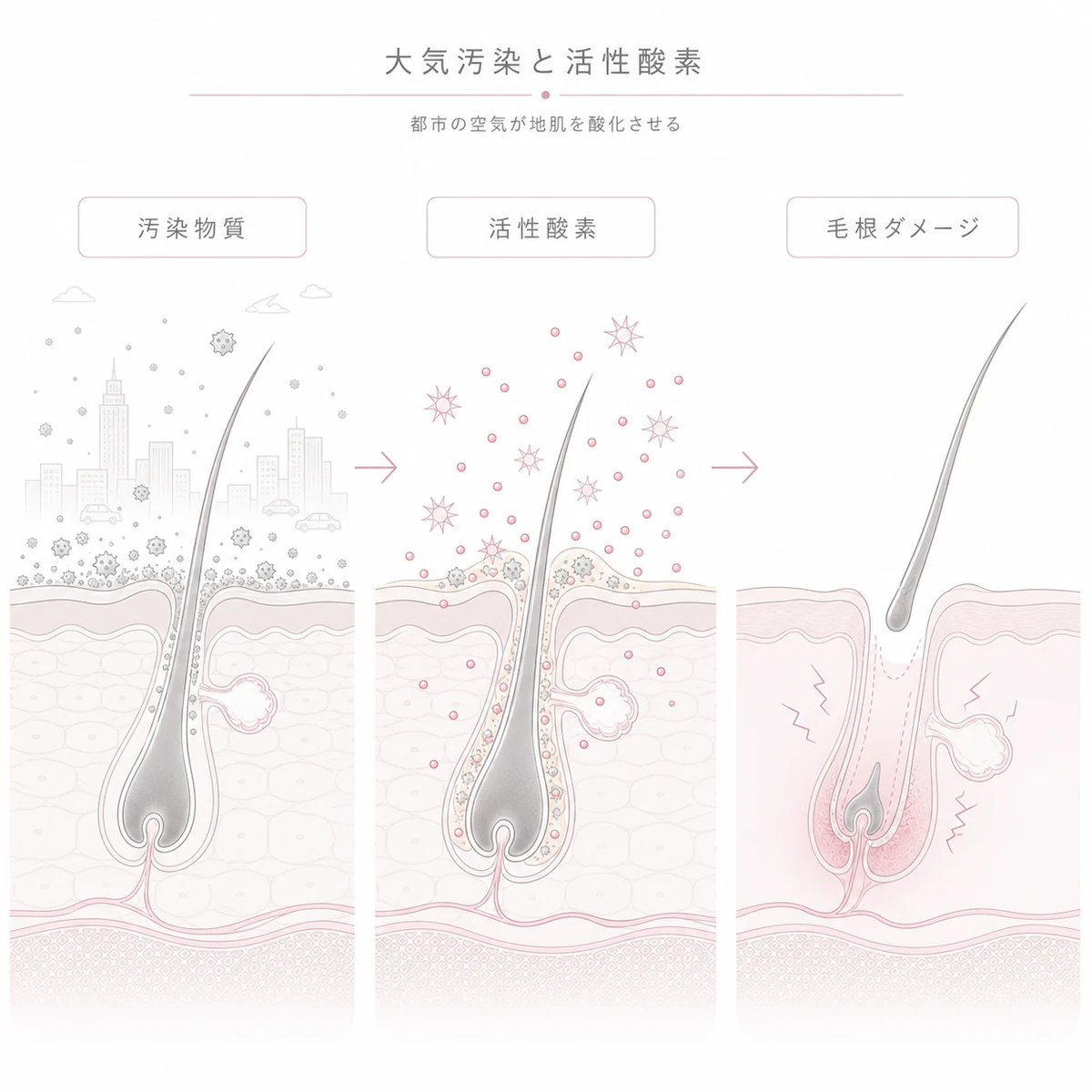 汚染物質が毛穴で活性酸素を生み毛根を傷つけるまでの流れを左から右へ表した線画イラスト