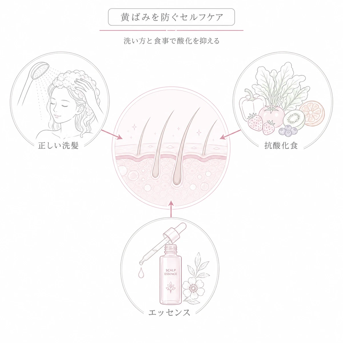 正しい洗髪と抗酸化食と頭皮エッセンスで地肌の黄ばみを防ぐセルフケアの関係を表した線画イラスト