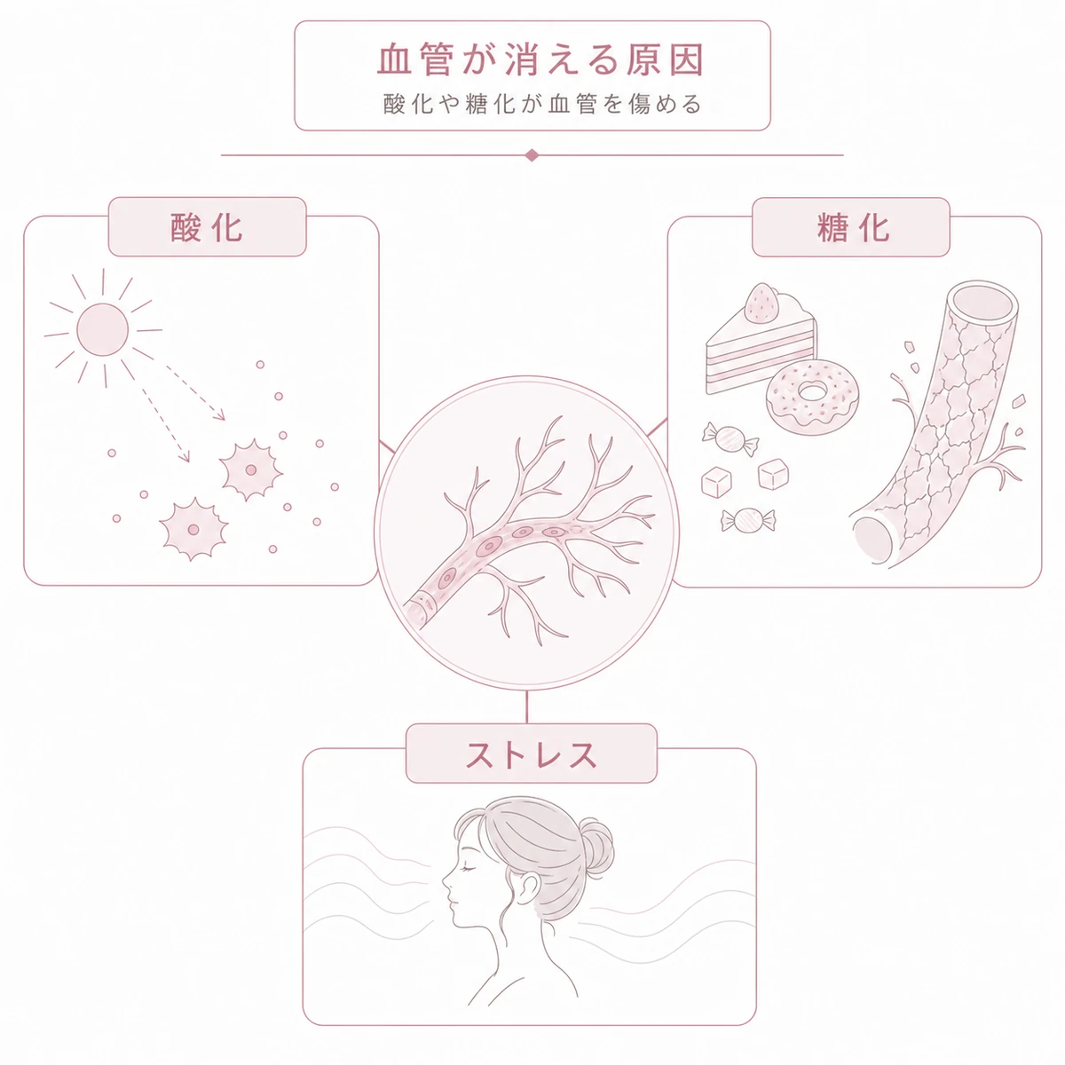酸化ストレスと糖化とストレスが毛細血管のゴースト化を招く原因を表した線画イラスト