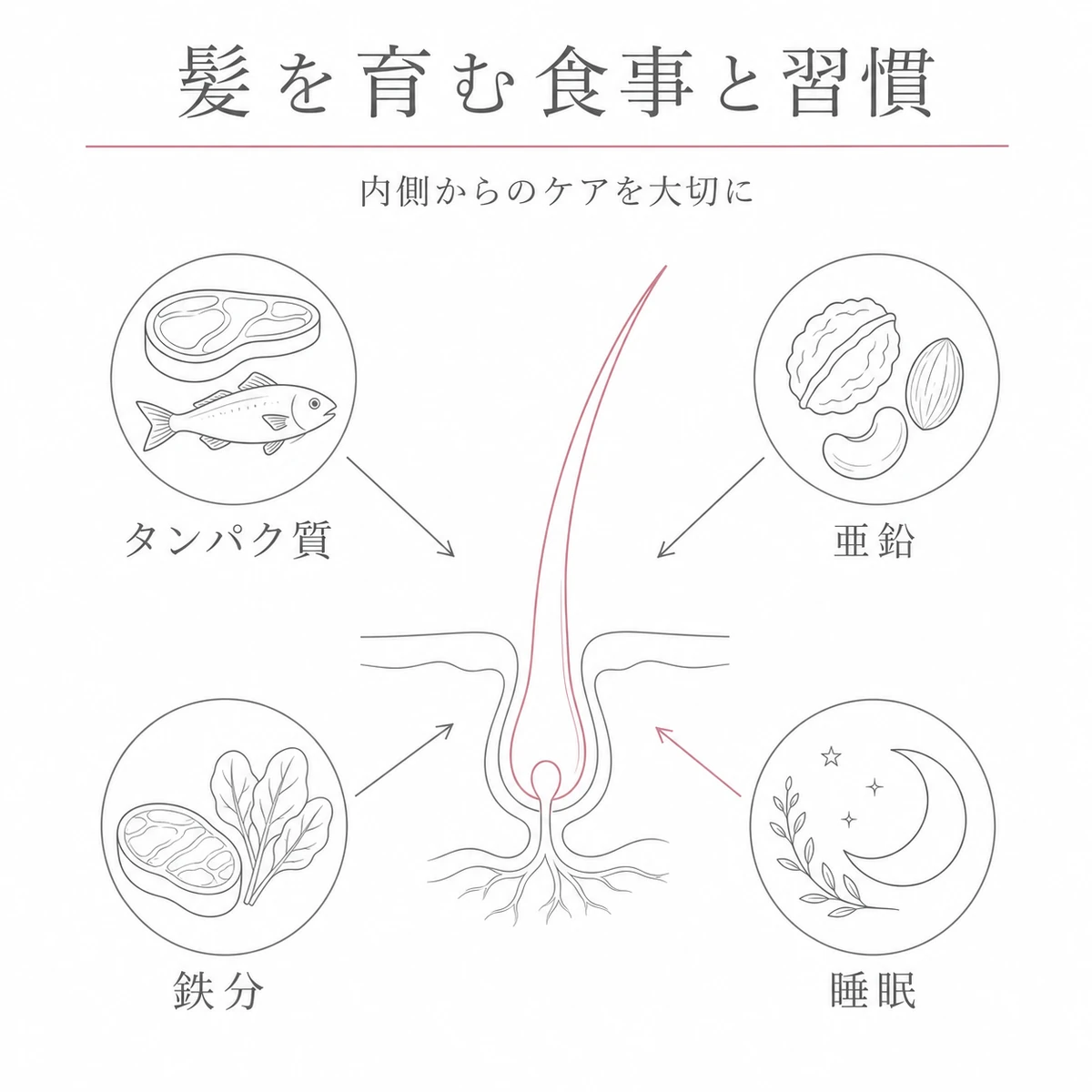 タンパク質や亜鉛や鉄分や睡眠が健やかな髪を育てるつながりを表した線画イラスト