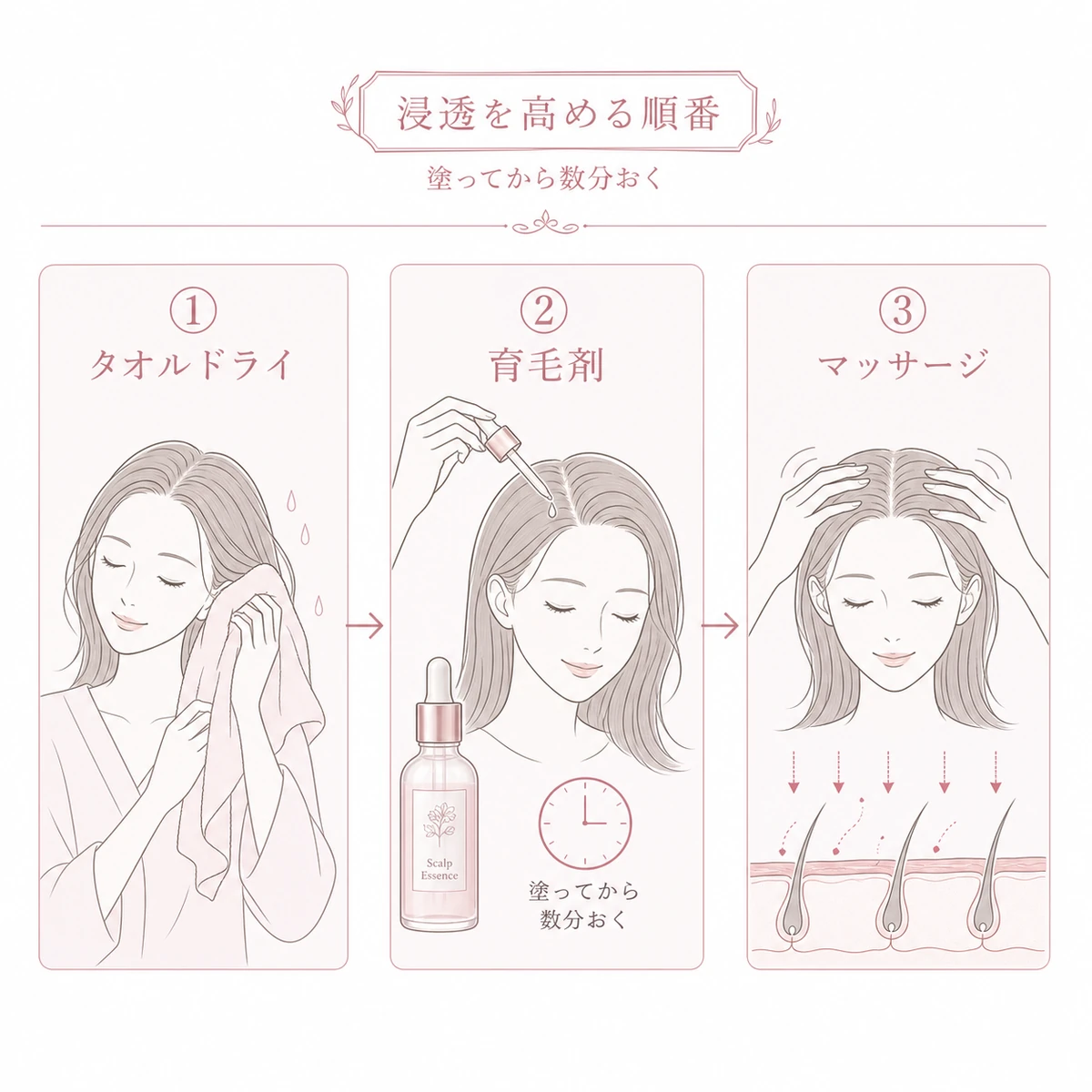 タオルドライから育毛剤を塗りマッサージで浸透させるまでの順番を左右に示した線画イラスト
