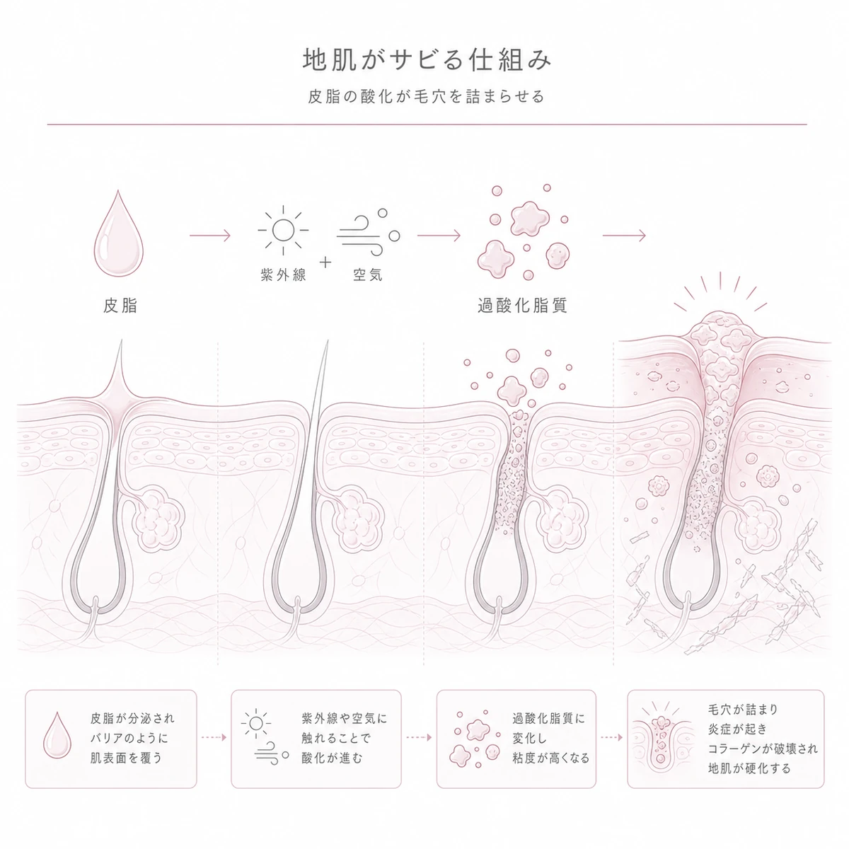 皮脂が酸化して過酸化脂質に変わり毛穴の炎症とコラーゲン破壊を招く地肌のサビの仕組みを表した線画イラスト