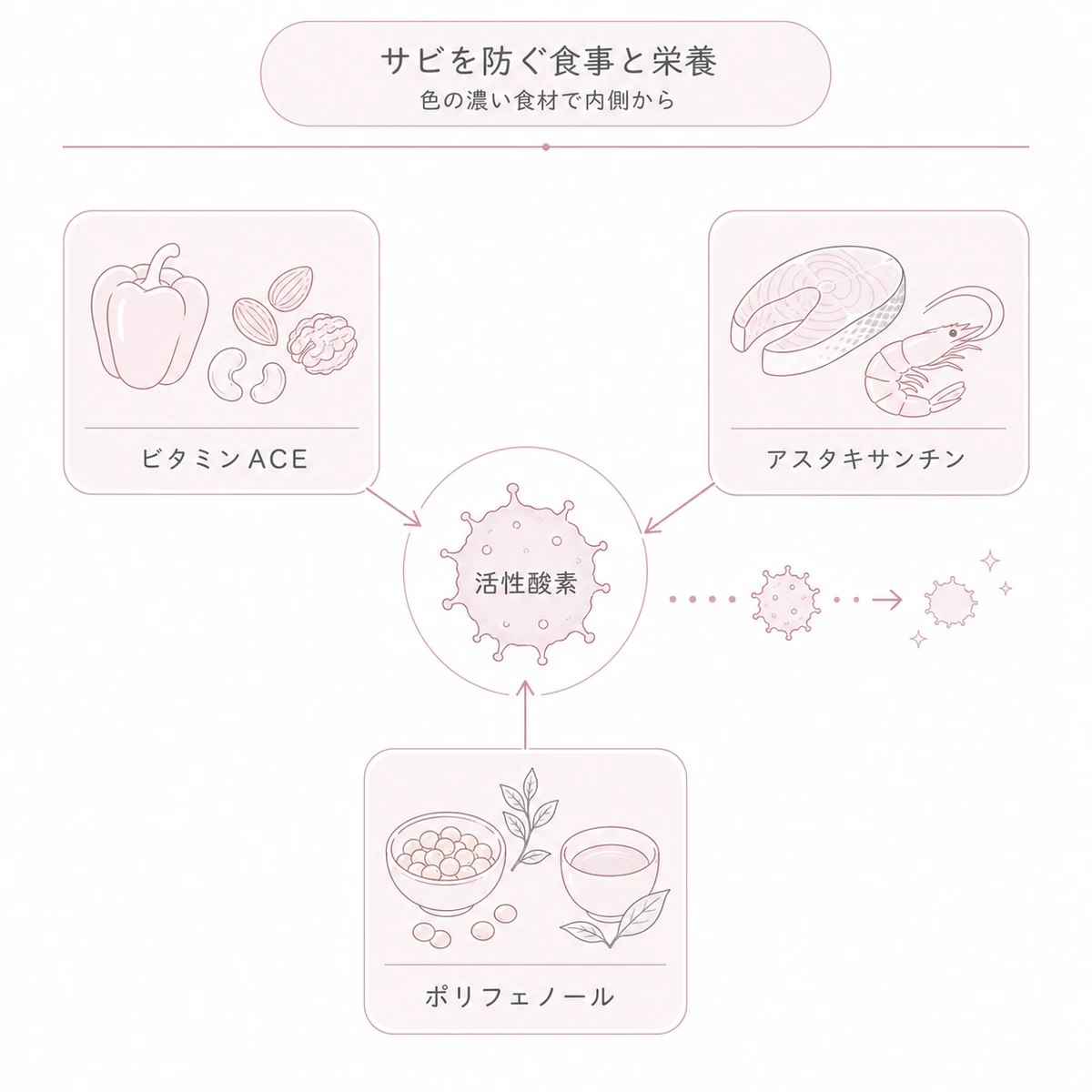 ビタミンACEとアスタキサンチンとポリフェノールが活性酸素を中和して地肌を守る栄養を表した線画イラスト