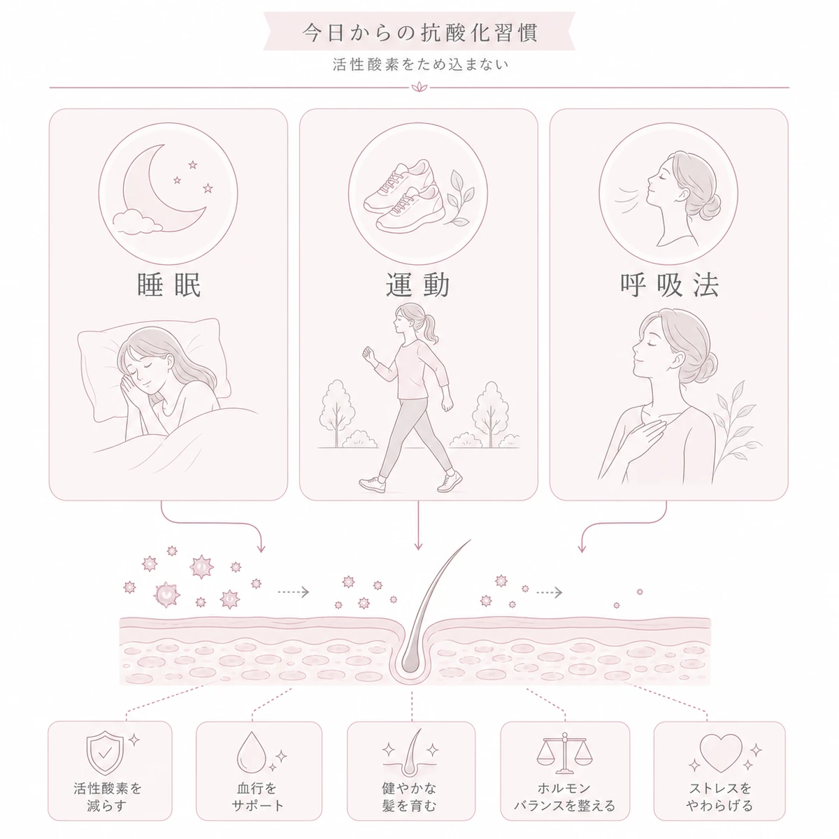質の高い睡眠と適度な運動と深い呼吸で活性酸素をリセットするアンチエイジング習慣を並べた線画イラスト