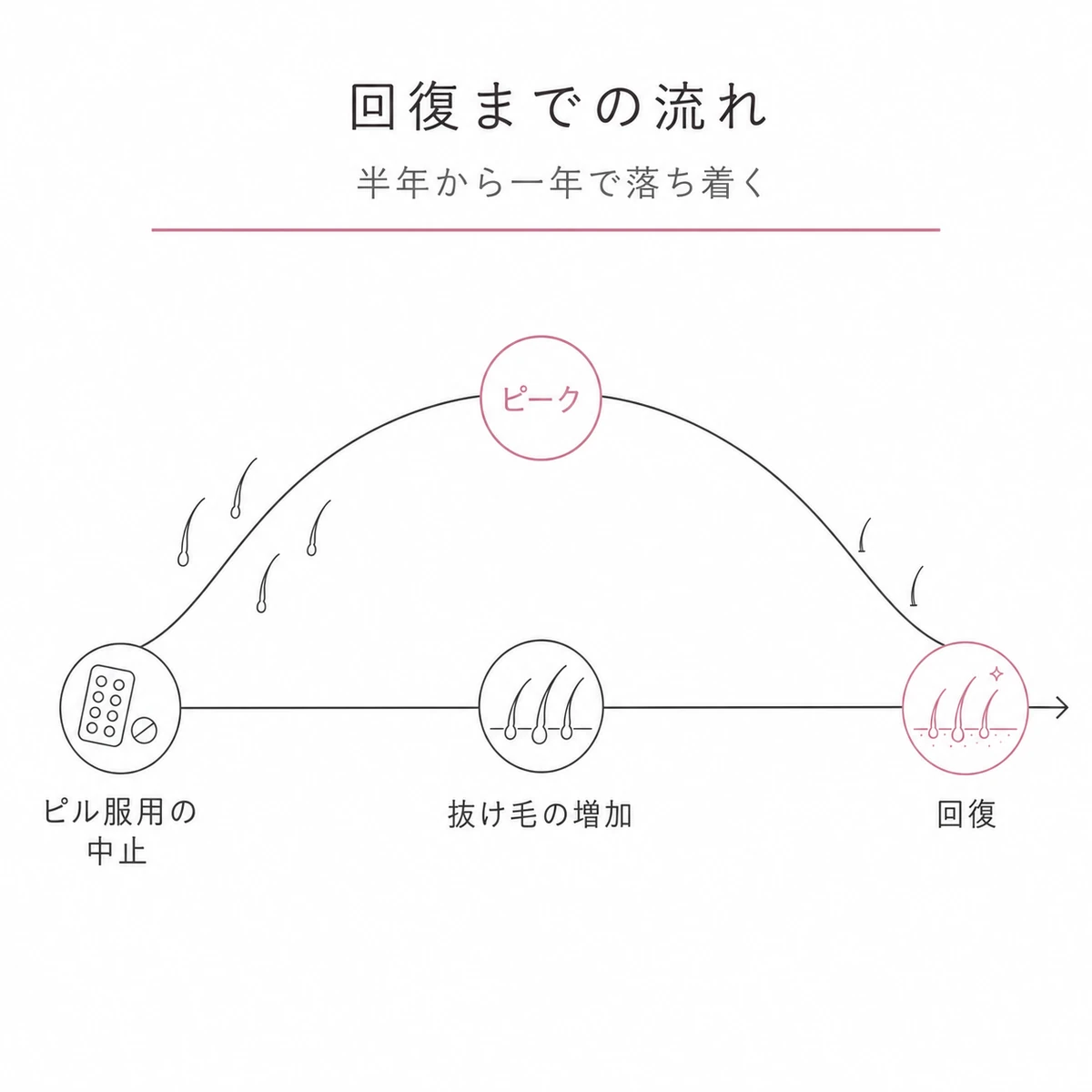 ピル中止後に抜け毛が増えてピークを越え回復へ向かう流れを曲線で表した線画イラスト