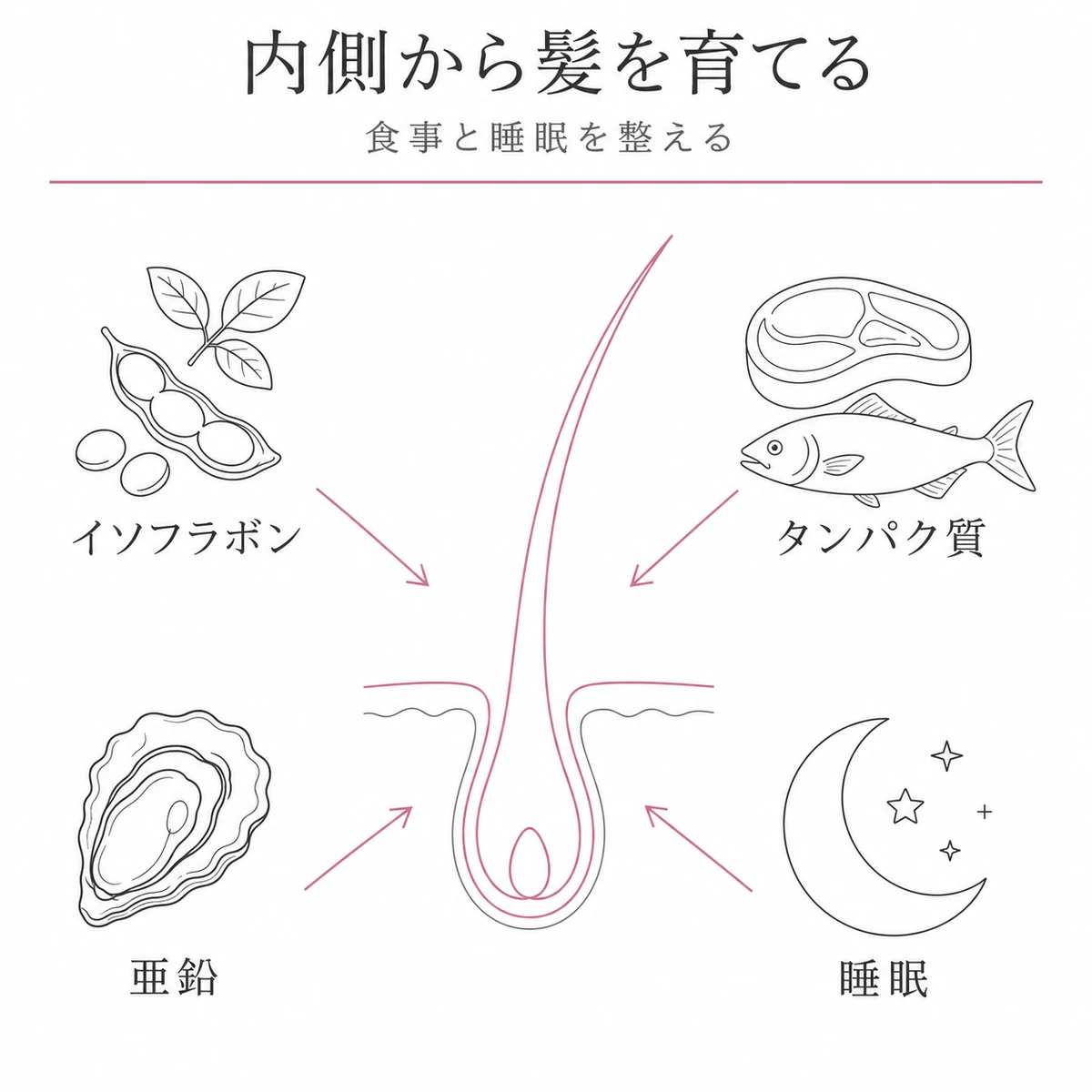 イソフラボンやタンパク質や亜鉛や睡眠が集まって髪を育てる関係を表した線画イラスト