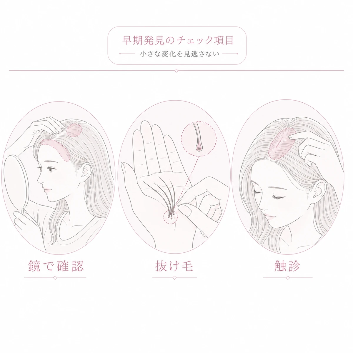 鏡での確認と抜け毛の観察と触診で早期発見するチェック項目を表した線画イラスト