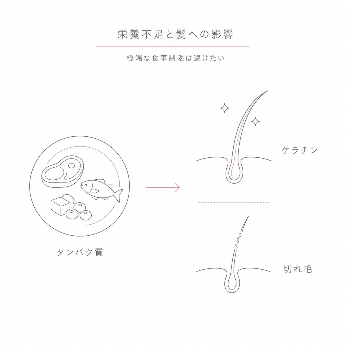 タンパク質や亜鉛の不足で髪が細く弱くなる流れを食事と髪で表した線画イラスト