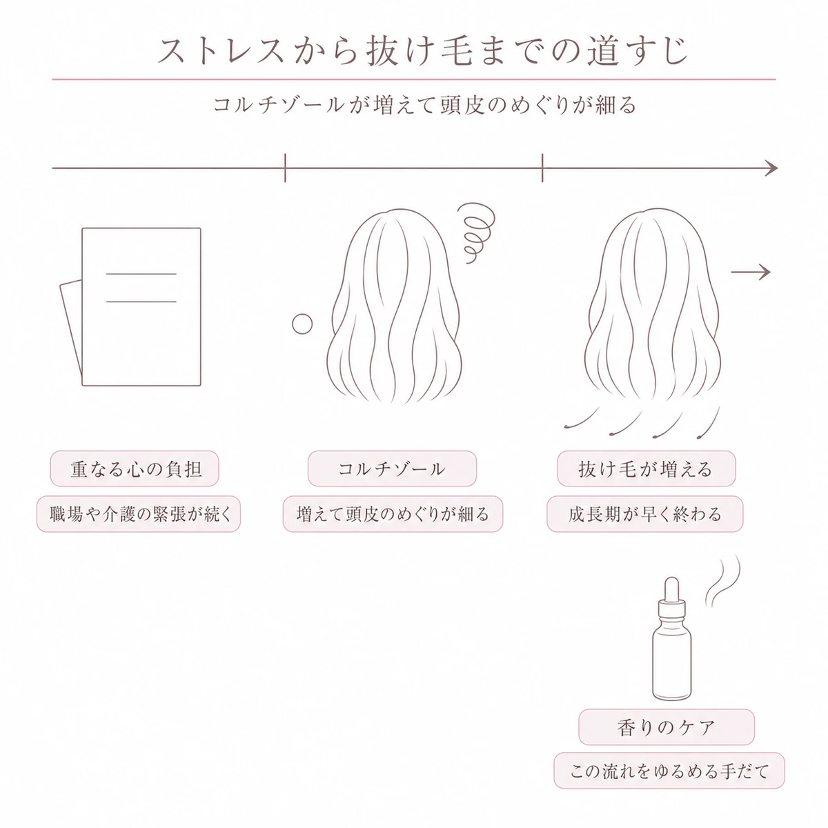 心の負担からコルチゾールの増加と抜け毛へ進む流れを左から右へ並べ、香りのケアを添えた図