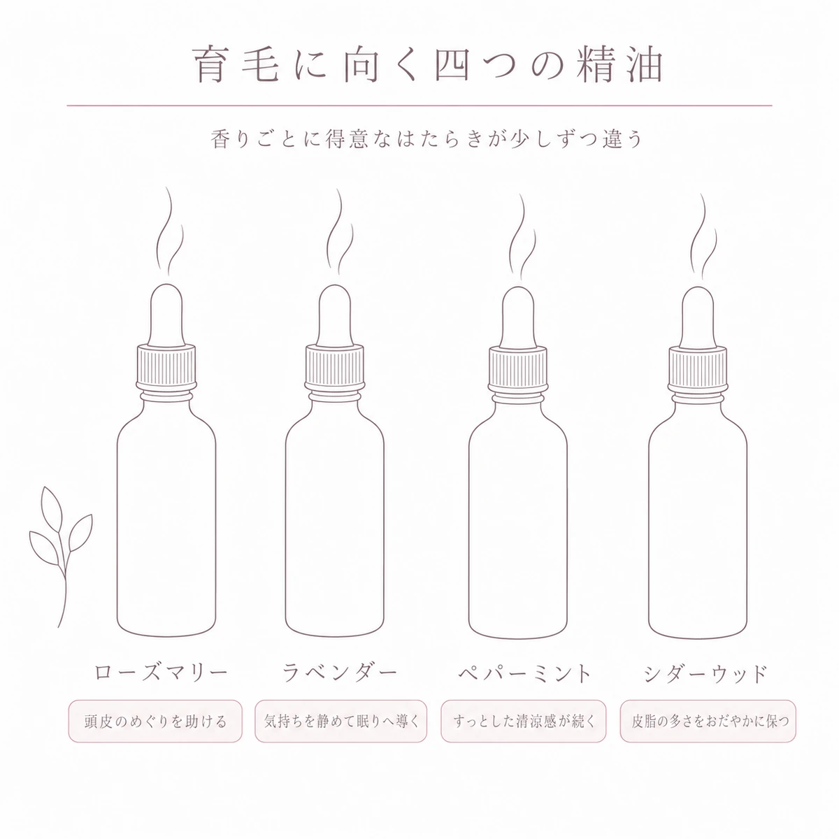 同じ形の小瓶を四つ横に並べ、育毛に向く精油の名前とはたらきを添えた図