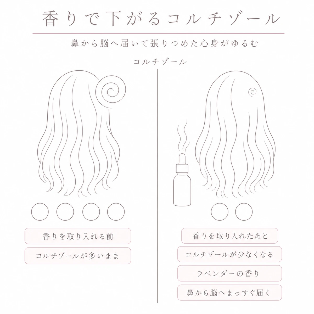 香りを取り入れる前と後で小さな丸の数の違いによりコルチゾールの減りを比べた左右対比の図