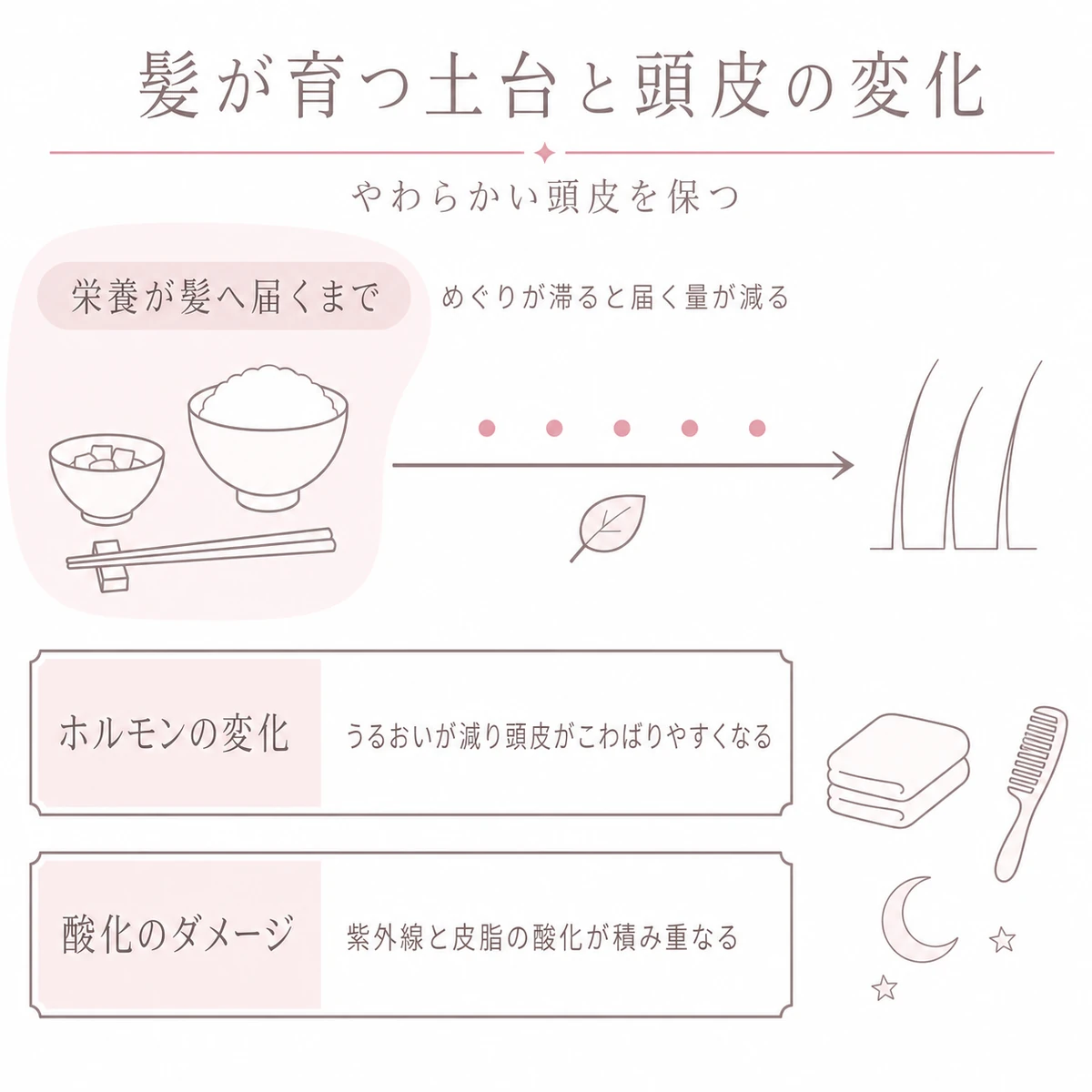 食事から取り込んだ栄養が髪へ向かう流れと、頭皮に起きる二つの変化を上下二段に分けた図解イラスト