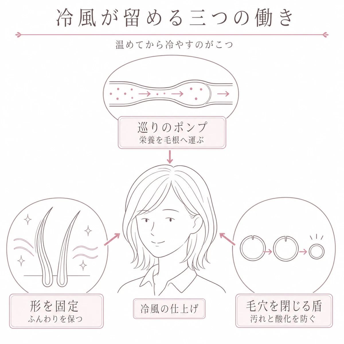 冷風がもたらす巡り促進・毛穴の引き締め・根元の形固定という三つの働きを頭部を中心に表した図解イラスト