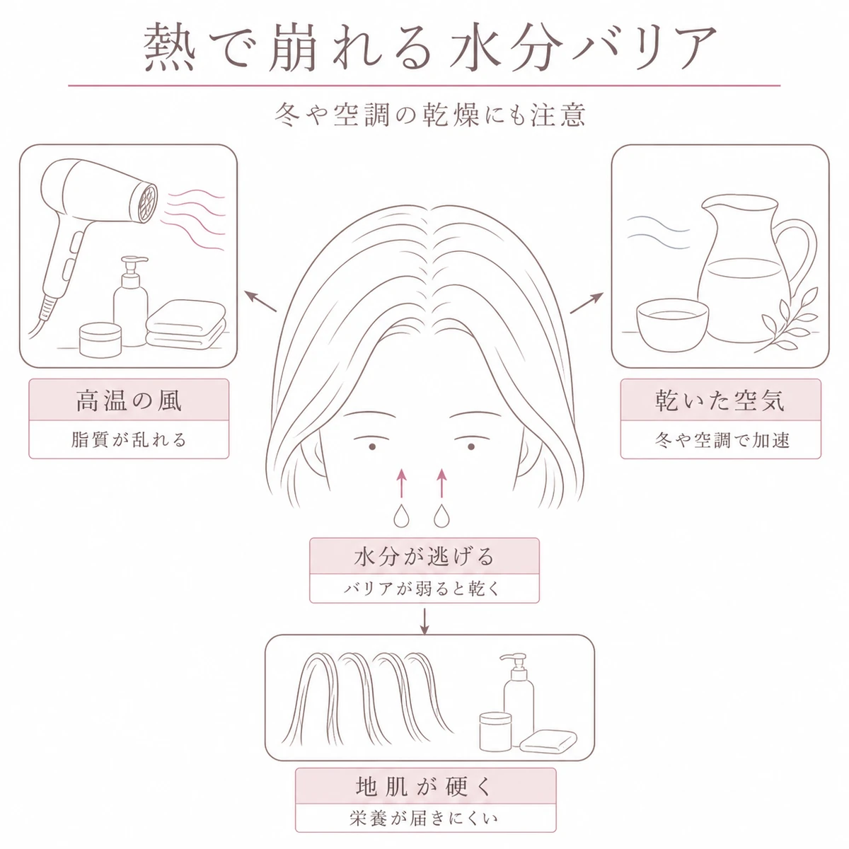 ドライヤーの熱で頭皮のバリア機能が崩れ水分が逃げる仕組みを頭部中心に示した図解イラスト