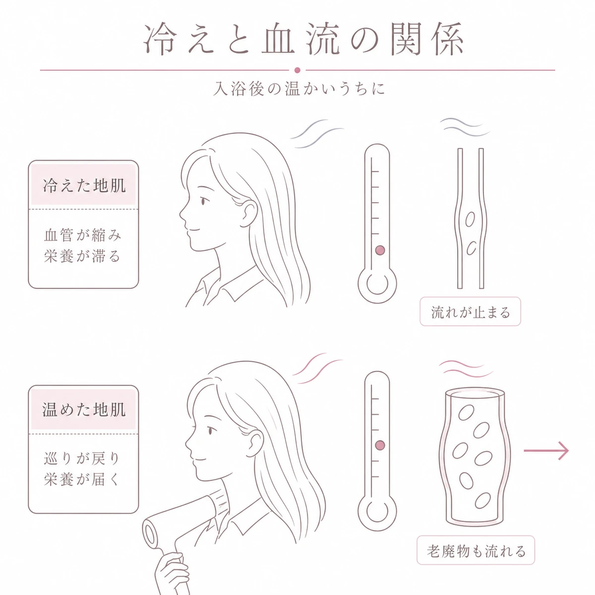 冷えて滞る血流と温めて巡る血流を上下で比べた女性向け頭皮ケアの図解イラスト