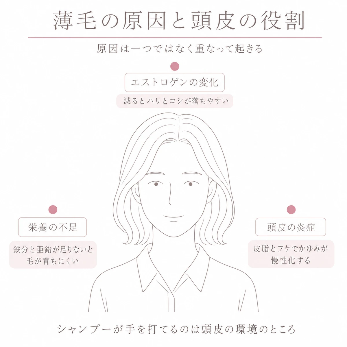 中央の頭部を囲んでホルモン・栄養・炎症の三つの原因を配置した線画