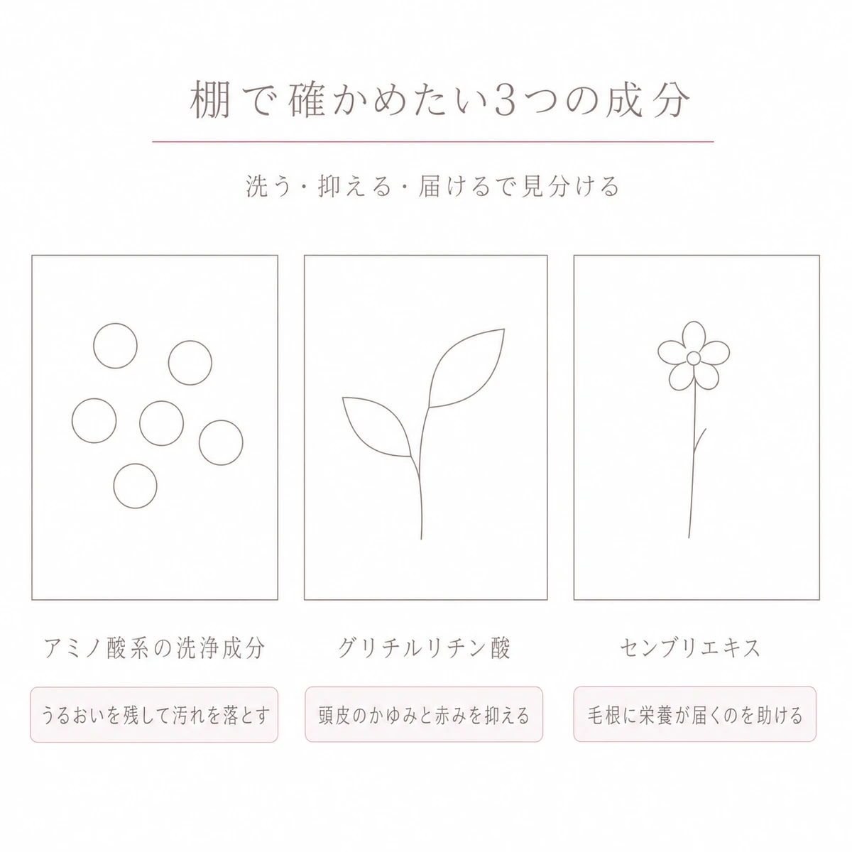 泡・葉・草を入れた三つの枠で洗浄成分と抗炎症成分と血行の成分を並べた線画