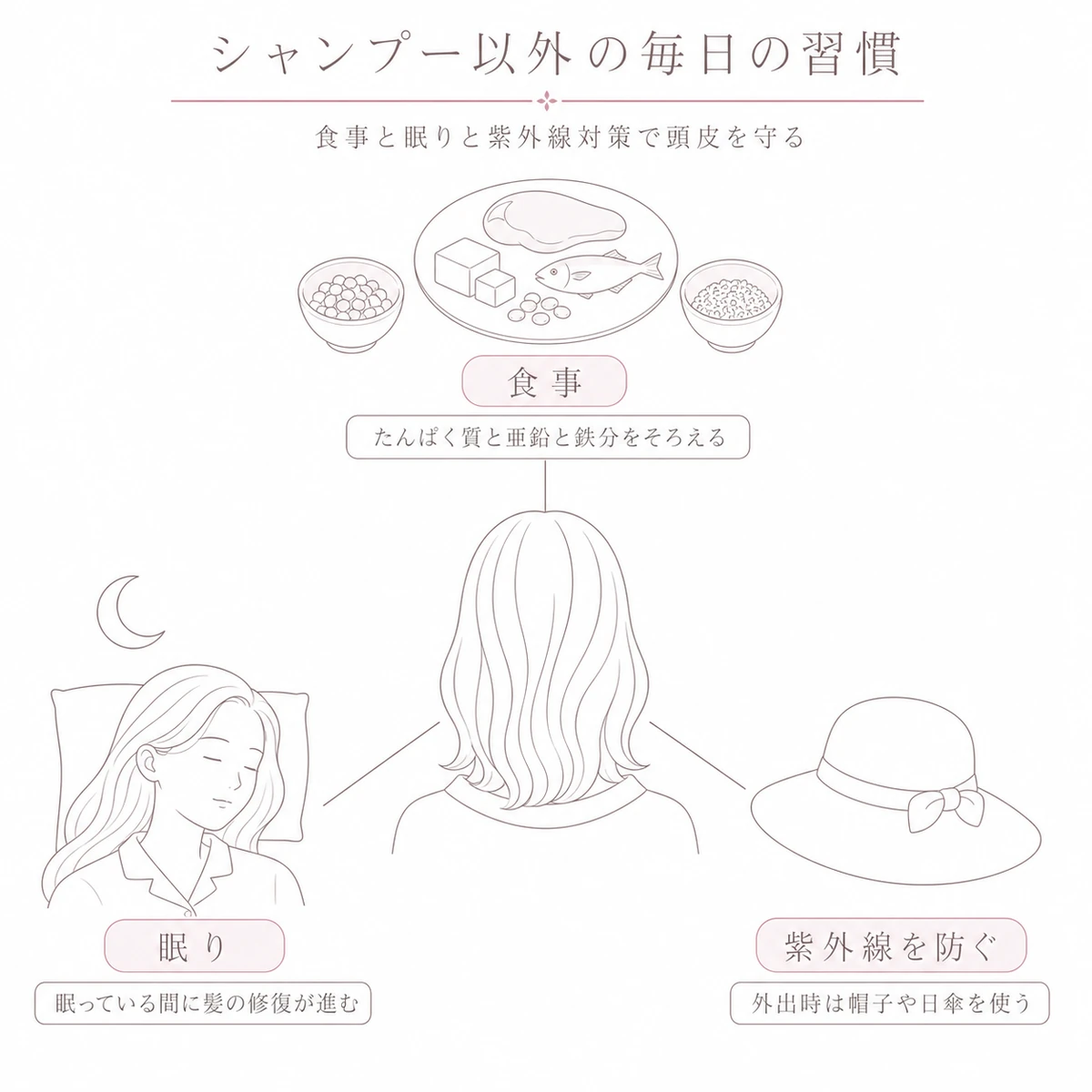 中央の頭部から食事・眠り・紫外線対策へ三方向に広がる線画