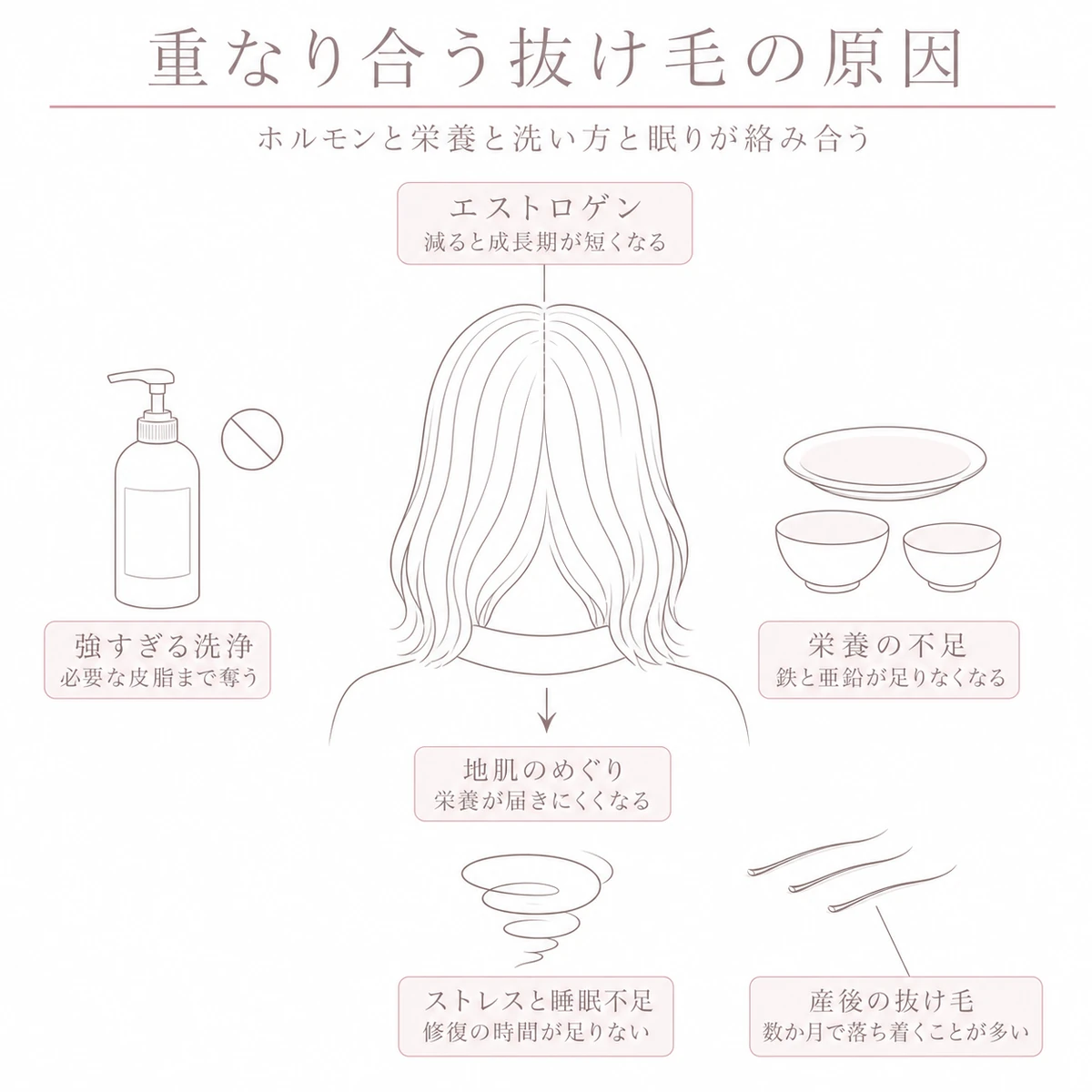 頭部を中心にホルモンと栄養とストレスと洗い方の要因を四方に配した線画イラスト