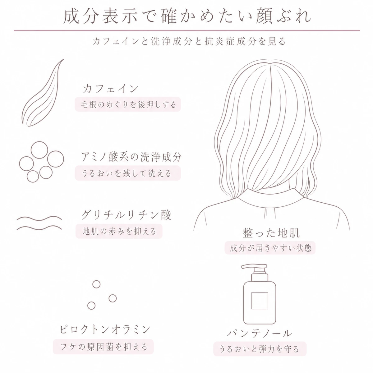 カフェインとアミノ酸系洗浄成分と抗炎症成分を縦三段に積んで並べた線画イラスト