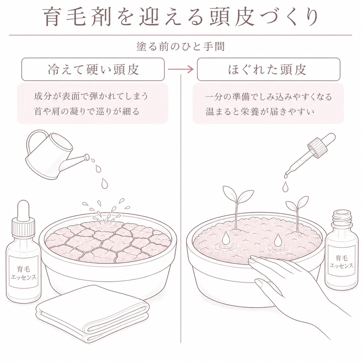 硬い頭皮とほぐした頭皮で育毛剤のなじみ方が変わることを土壌にたとえた線画イラスト