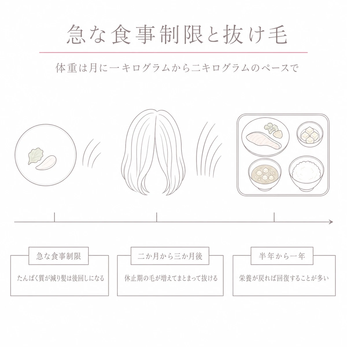 急な食事制限から抜け毛、回復までの流れを一本の矢印で追ったイラスト