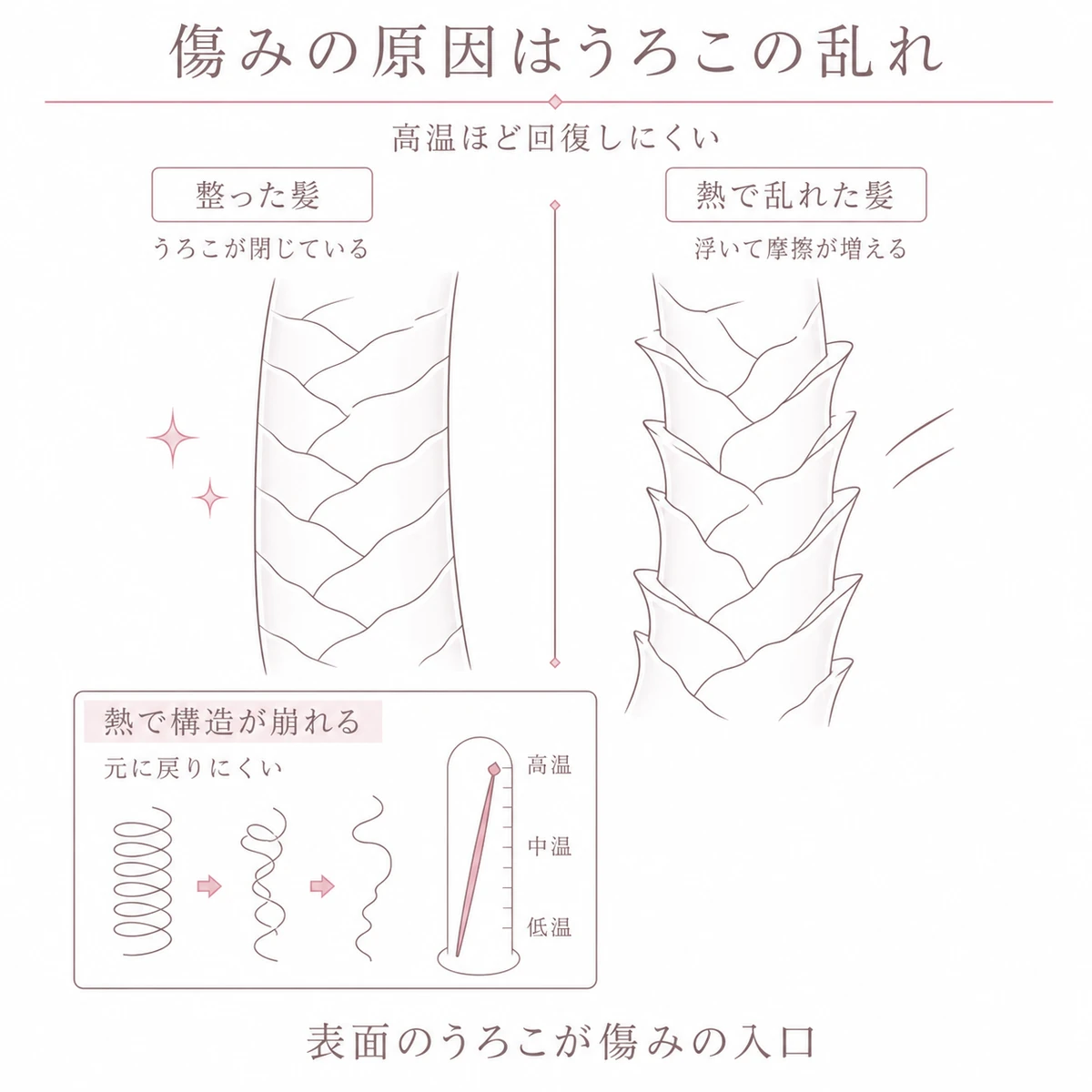 整った髪と熱で浮いた髪のキューティクルの違いを左右で対比したイラスト