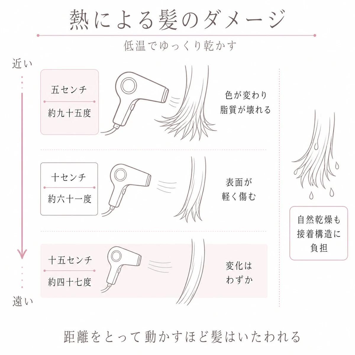 ドライヤーの距離ごとに変わる髪の表面温度とダメージを三段で比べた図解イラスト
