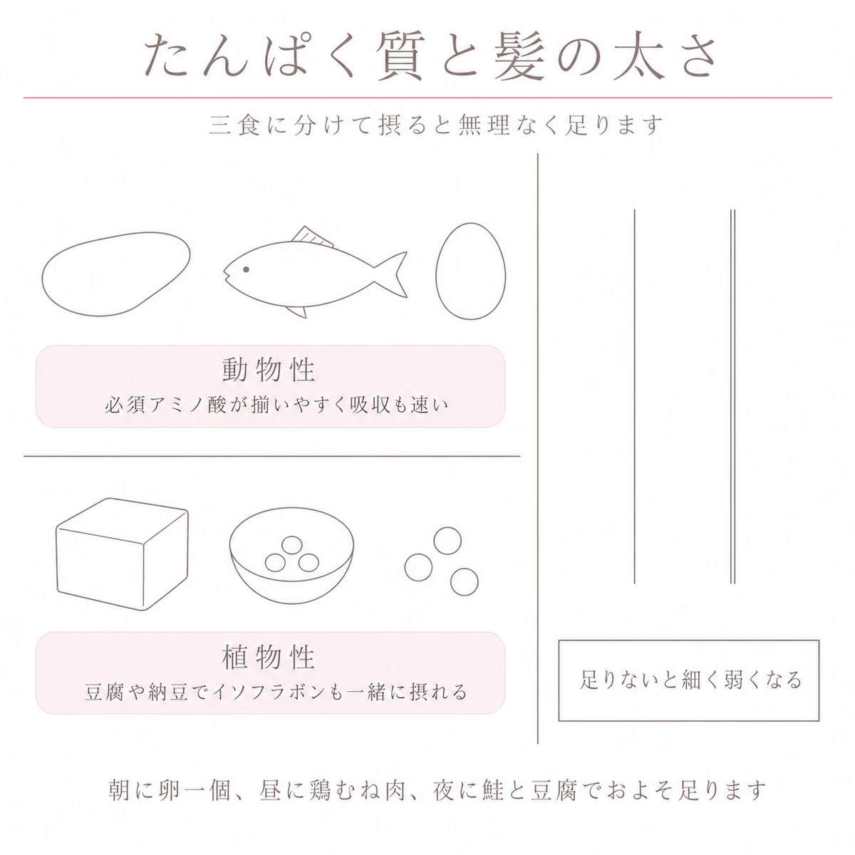 動物性と植物性のたんぱく質の食材を上下に並べ、髪の太さを比べたイラスト