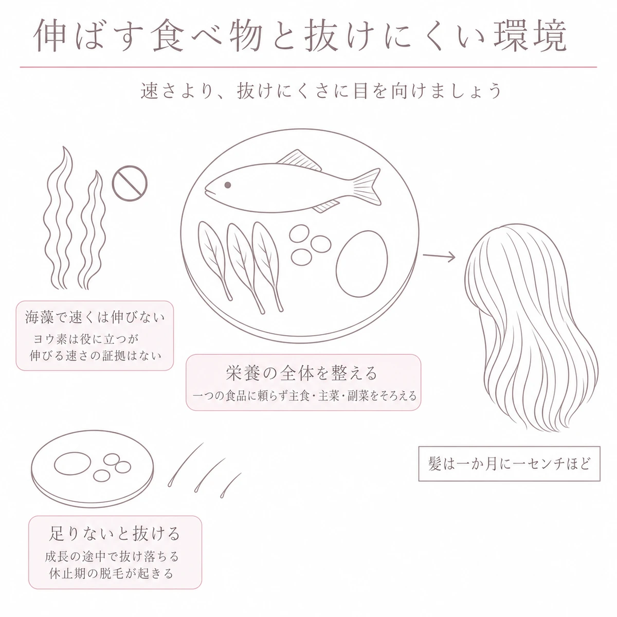 食事の皿を中心に、海藻や抜け毛、髪へ届く道すじを描いたイラスト