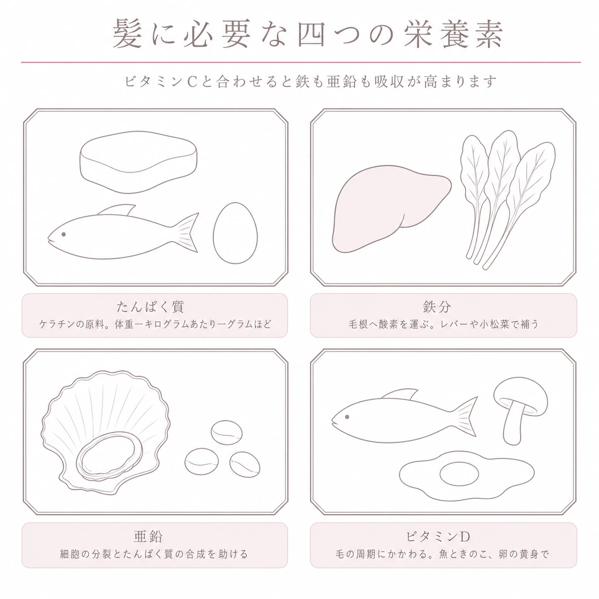 たんぱく質と鉄分、亜鉛、ビタミンDの食材を四つの枠に並べたイラスト