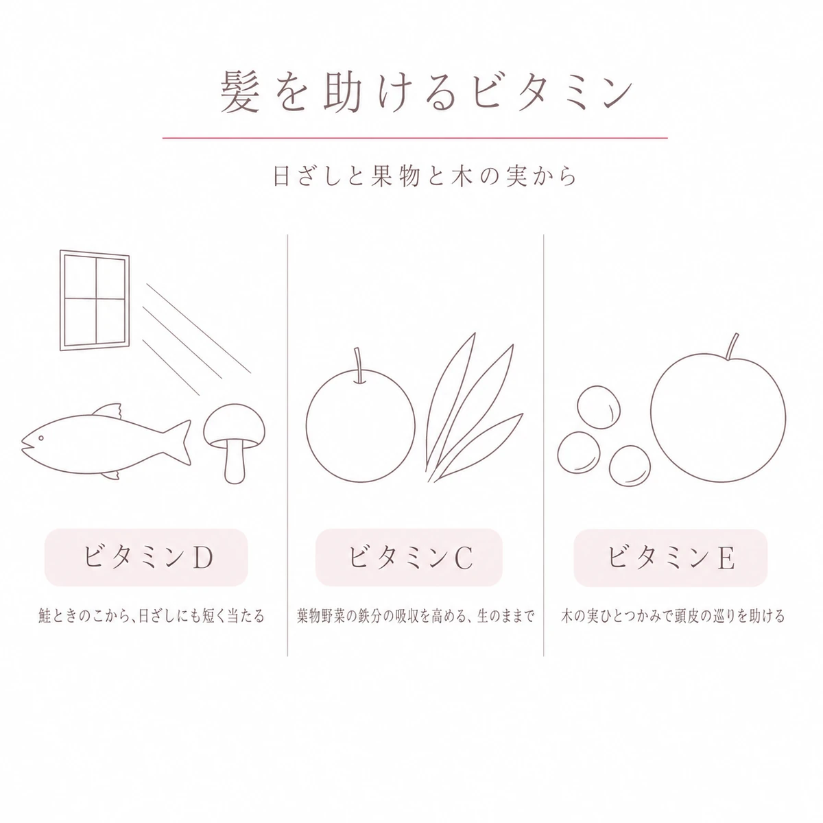 ビタミンDとビタミンCとビタミンEを含む食材を三つの列に並べた図解イラスト