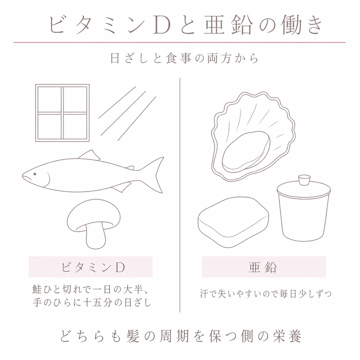 ビタミンDを含む食材と日ざし、亜鉛を含む食材を左右に分けて比べたイラスト
