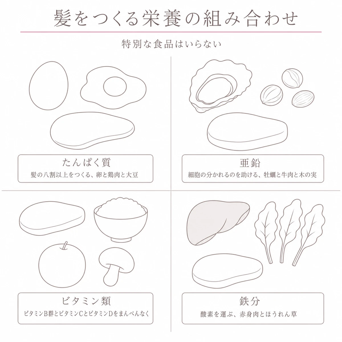 たんぱく質と亜鉛とビタミン類と鉄分の食材を四つに分けて並べたイラスト