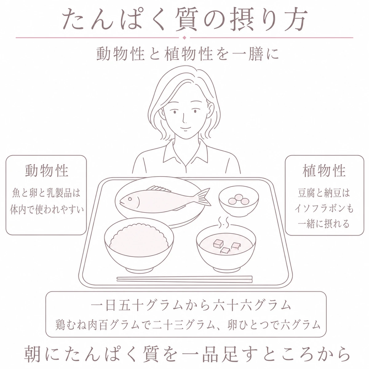 一膳の食事を前にした女性と動物性・植物性のたんぱく質の組み合わせを描いたイラスト
