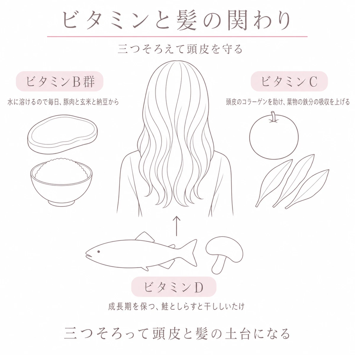 ビタミンB群とビタミンCとビタミンDの食材から髪へ栄養が向かう様子を描いたイラスト