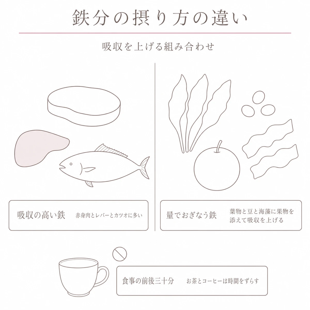 吸収の高い鉄と量でおぎなう鉄の食材を左右に分けて比べたイラスト