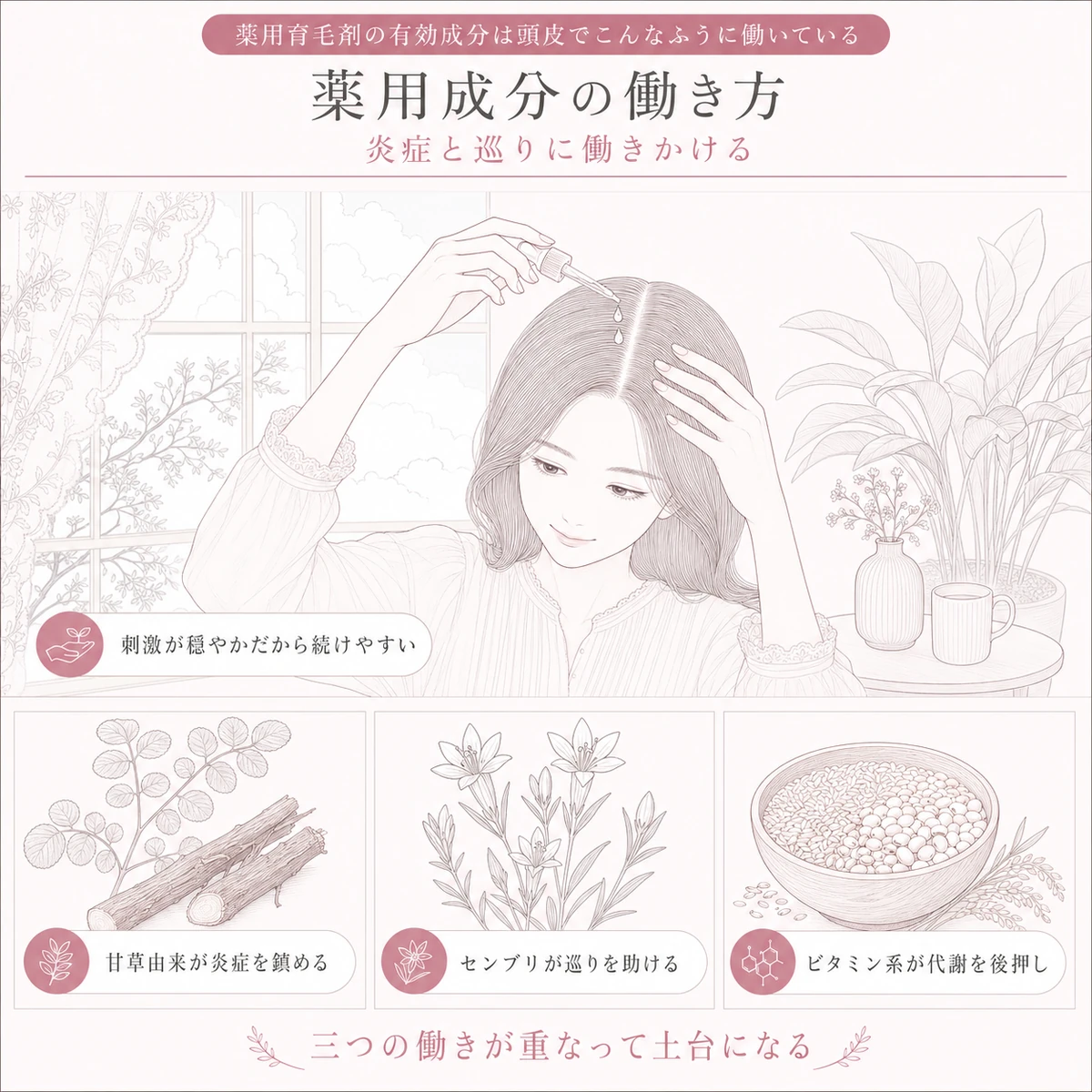 窓辺で分け目に塗る場面と甘草やセンブリやビタミンという有効成分の由来を上下に配した線画イラスト