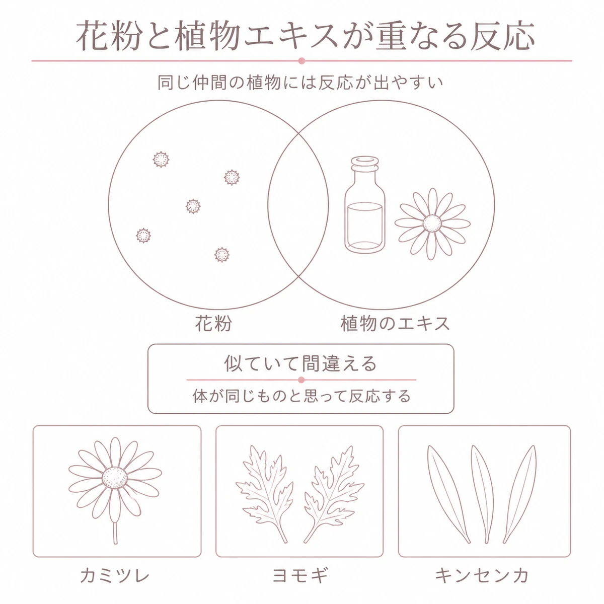 花粉と植物エキスを表す二つの円が一部重なるようすと同じ仲間の植物を上下二段に描いたイラスト