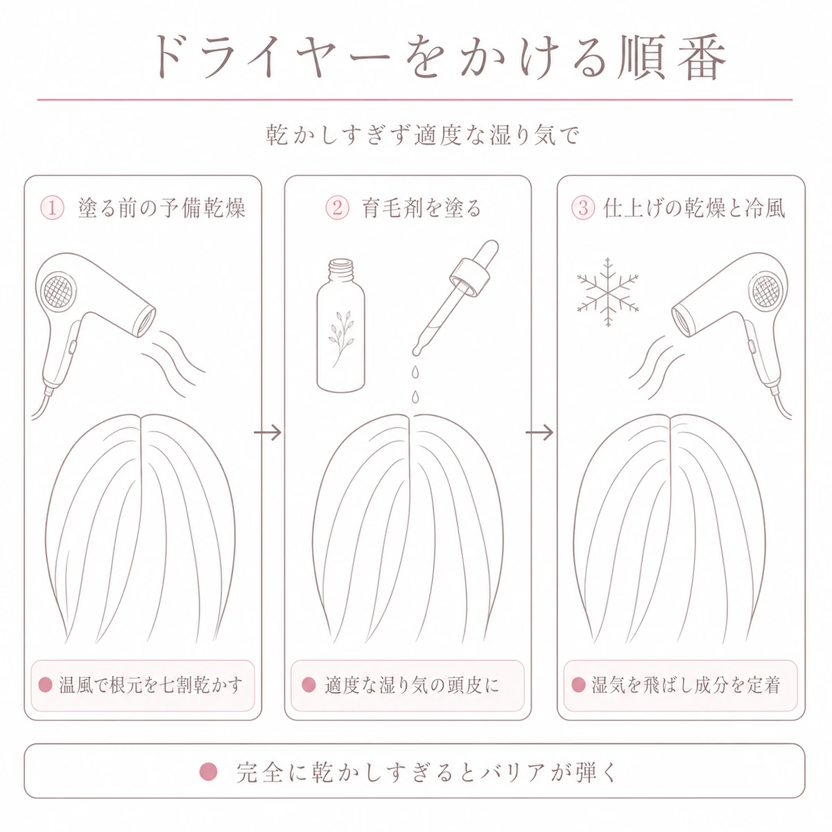 予備乾燥と育毛剤塗布と冷風仕上げというドライヤーの順番を時系列で並べた図解イラスト
