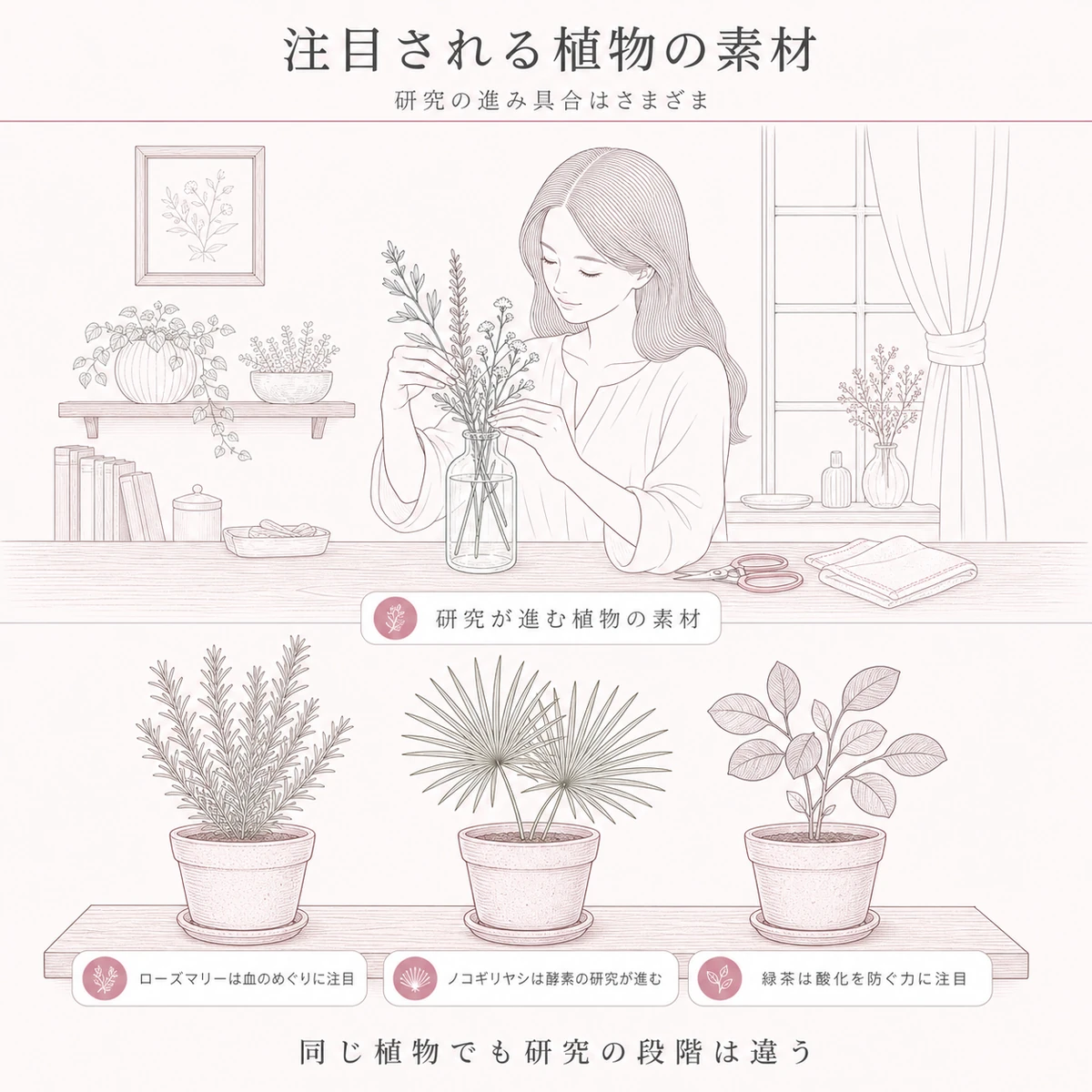 育毛ケアで注目される植物素材を鉢に並べた線画イラスト