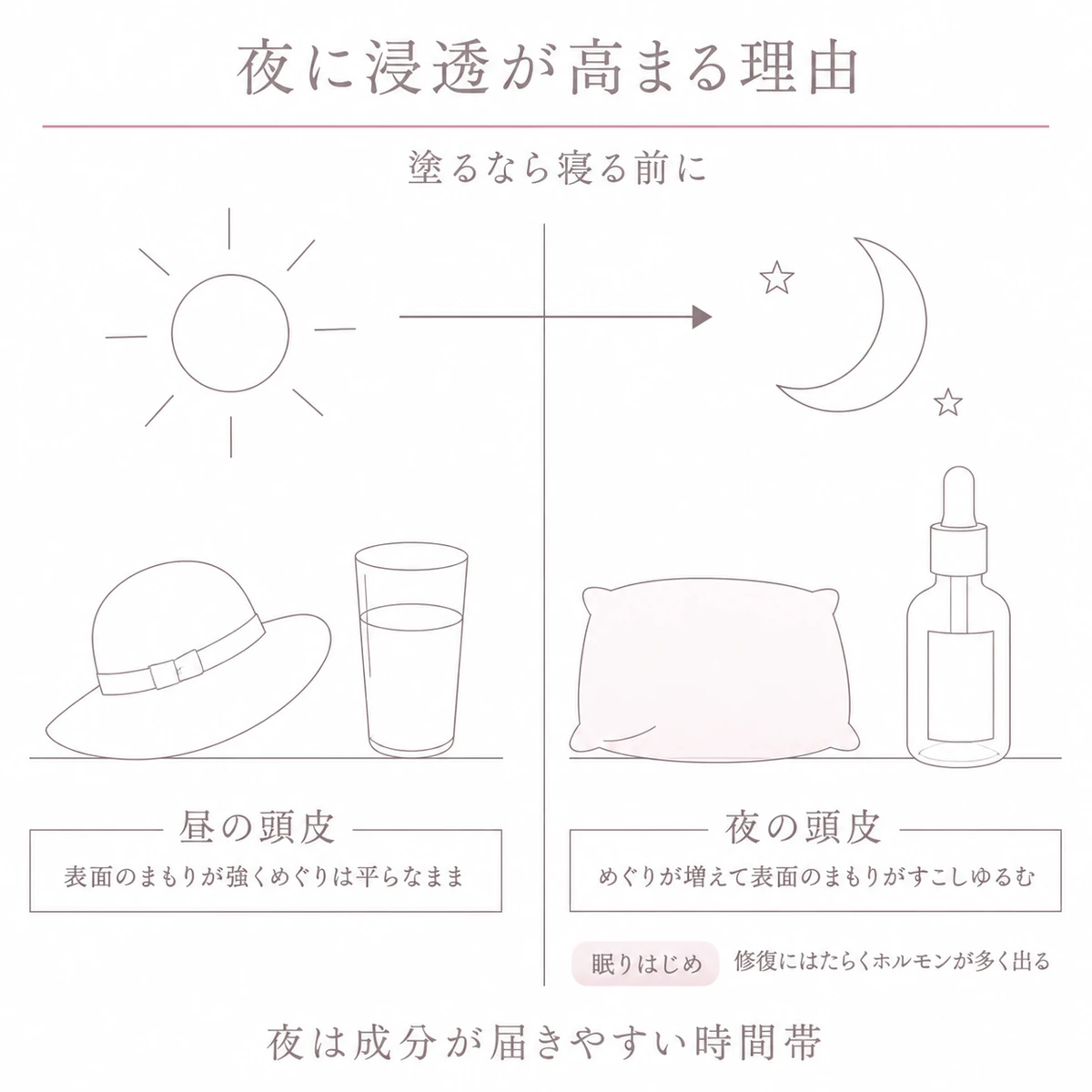 昼と夜の頭皮の違いを左右に並べ、夜に育毛剤の成分が届きやすくなる理由を表した図解イラスト