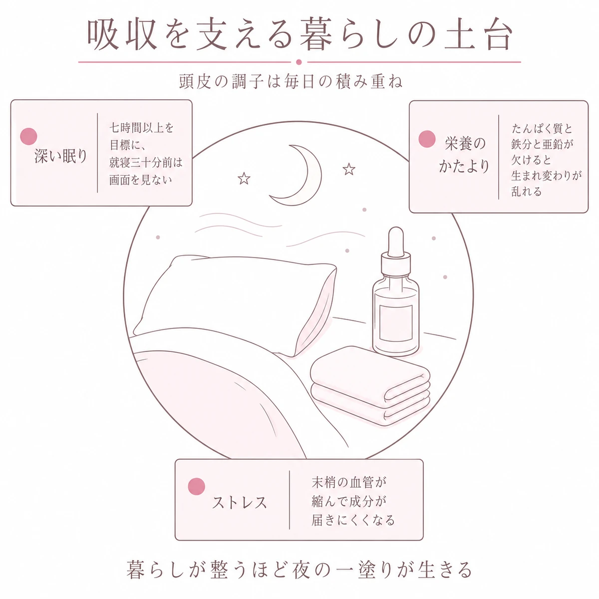 夜の頭皮ケアの場面を中心に置き、眠りと栄養とストレスの三つが吸収を左右することを周囲に添えた図解イラスト