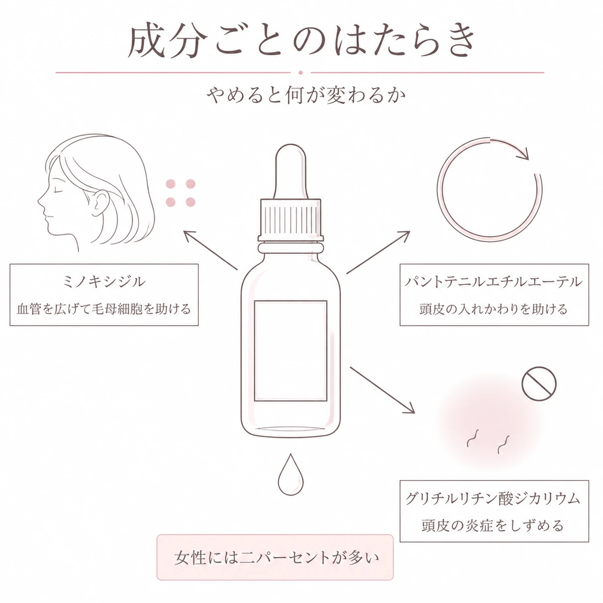 育毛剤に入る三つの成分が血のめぐりと頭皮の入れかわりと炎症にそれぞれ働く道すじを放射状に表したイラスト