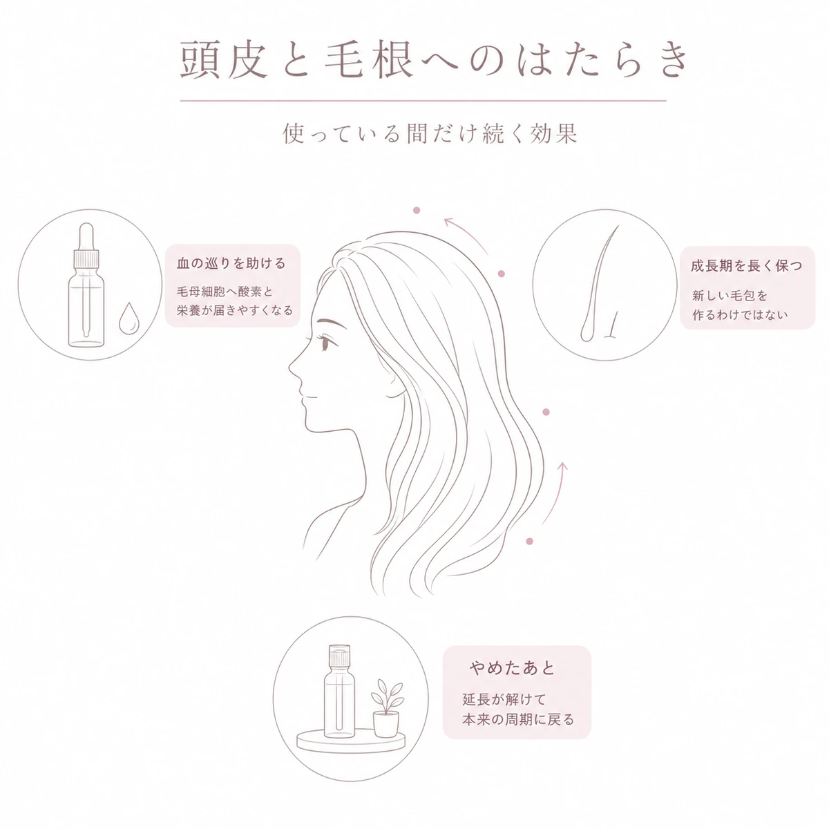 育毛剤が頭皮の血の巡りと成長期に働きかける仕組みと中止後の戻り方を中央と周囲の図で表したイラスト