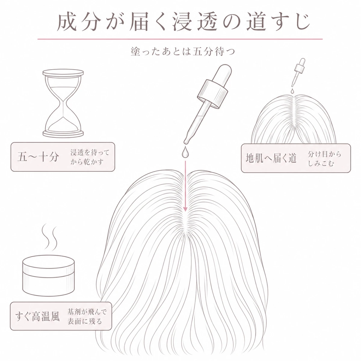 育毛剤が分け目から毛包を通って頭皮へ届く道すじと浸透に必要な待ち時間を表した図解イラスト