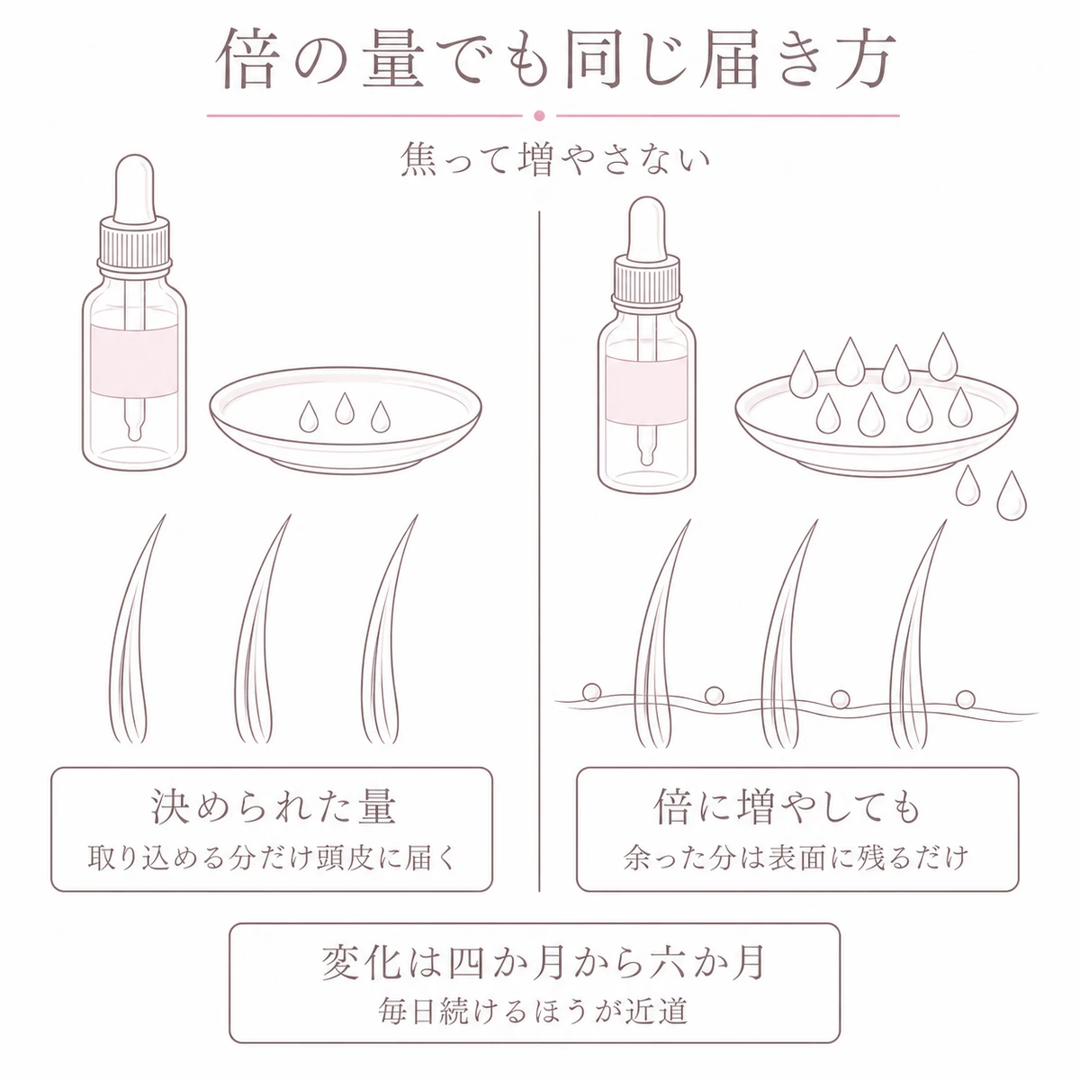 決められた量と倍の量で頭皮に届く分が変わらないことを左右に並べた線画イラスト