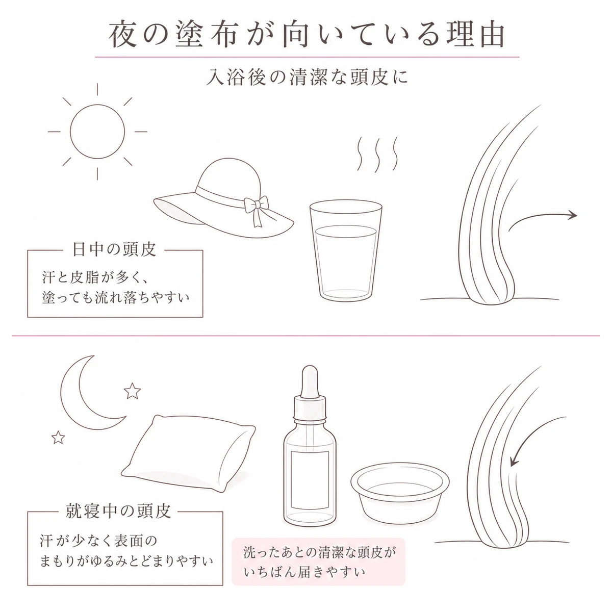 日中の頭皮と就寝中の頭皮の違いを上下に分け、夜のほうが成分がとどまりやすいことを表した図解イラスト