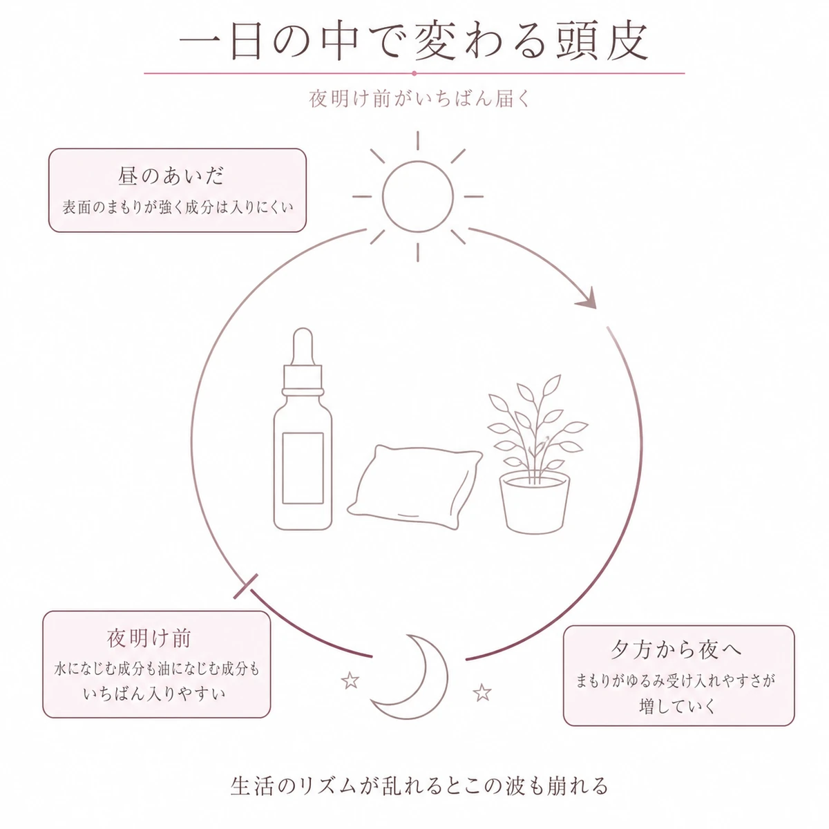 一日のリズムを円環で表し、夕方から夜明け前にかけて頭皮が成分を受け入れやすくなることを示した図解イラスト