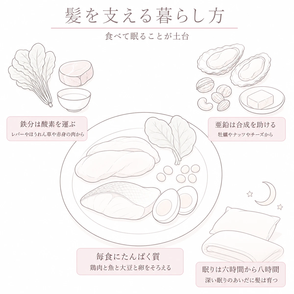 たんぱく質を中心にした食事と眠りの目安を大きな皿とともに描いた線画イラスト